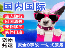 博乐阿拉山口空运代理国际宠物托运 【国